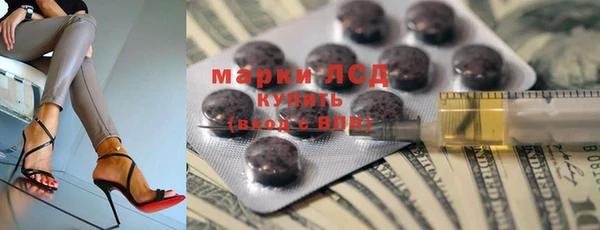 герыч Пересвет