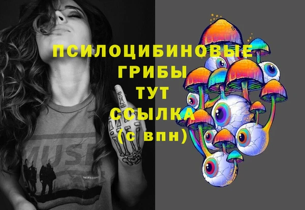 spice Ельня