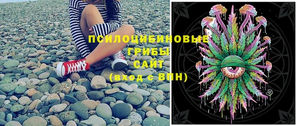 spice Ельня